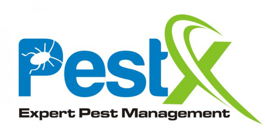 rodents | PestX Pest Control